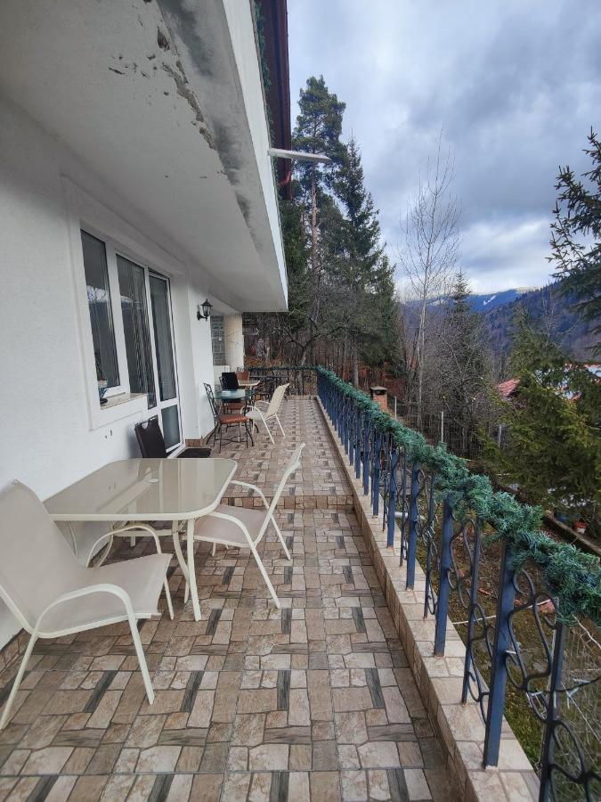 Casa Ana Villa Sinaia Bagian luar foto