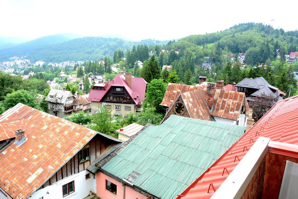 Casa Ana Villa Sinaia Bagian luar foto